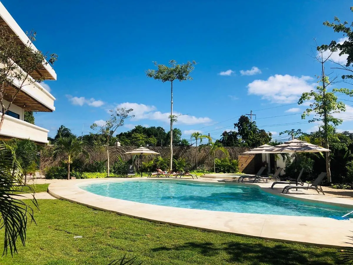Buda Elementus Tulum México